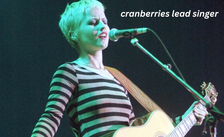 Cranberries Lead Singer