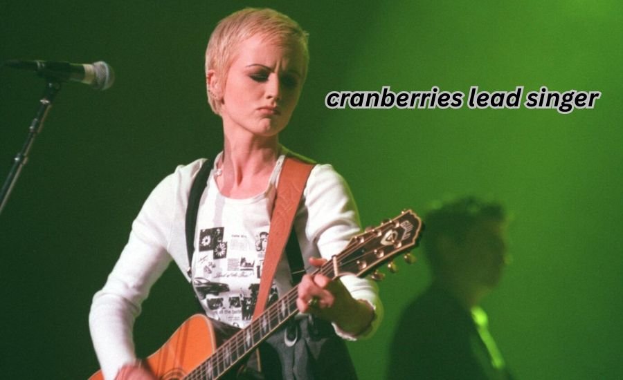 Cranberries Lead Singer